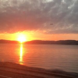 Meet your Posher, Casey